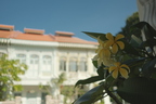 Photowalks